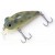 CULTIVA Воблер Bug Eye Bait BB-48F 48мм 6.5г цвет 53 Floating