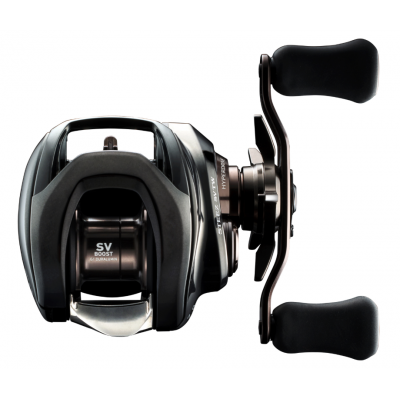 DAIWA Катушка 24 Steez SV TW 100L