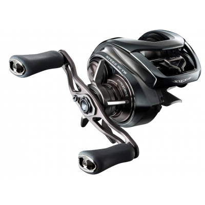 DAIWA Катушка 24 Steez SV TW 100L