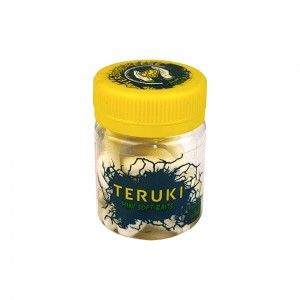 TERUKI Приманка Lybra Stretch 65мм сыр 2,4г белый